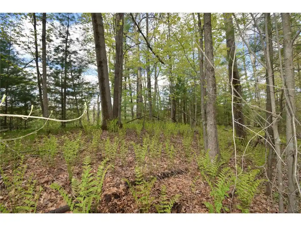 3rd image of 25383 Mansfield Road Road, Webster, WI 54893 | MLS# 7078552