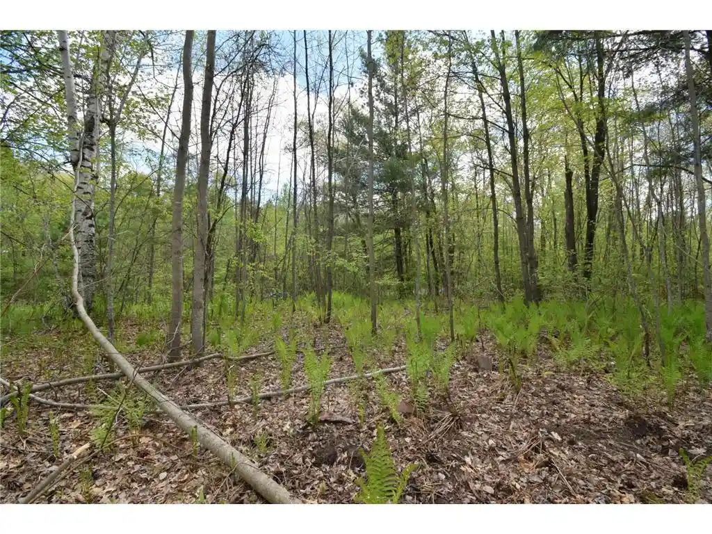 5th image of 25383 Mansfield Road Road, Webster, WI 54893 | MLS# 7078552