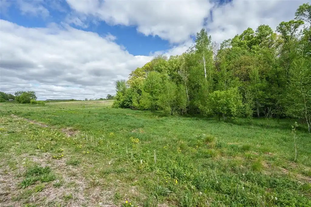 Homes for sale in Fairchild, WI | 0 Mcgower Road 2137A +/-, Fairchild, WI 54741 | MLS# 1601422