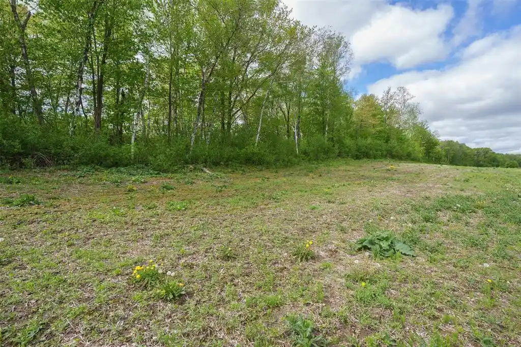 Homes for sale in Fairchild, WI | 0 Mcgower Road 2137A +/-, Fairchild, WI 54741 | MLS# 1601422