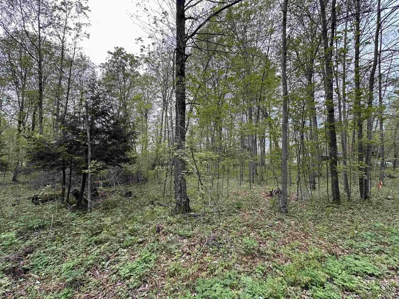 Homes for sale in Pickerel, WI | Lot 61 Chip N Dale Dr Dr, Pickerel, WI 54465 | MLS# 22602238