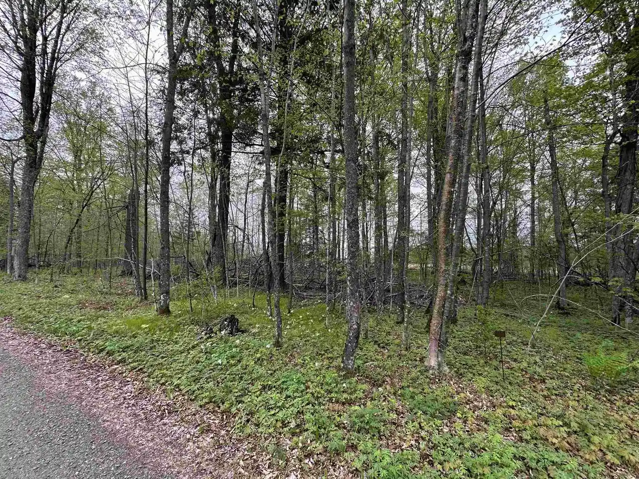 Homes for sale in Pickerel, WI | Lot 36 Fairway Dr Dr, Pickerel, WI 54465 | MLS# 22602239