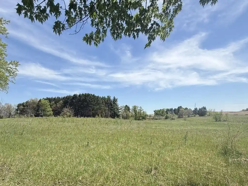 Homes for sale in Hixton, WI | (Undisclosed), Hixton, WI 54635 | MLS# 1601448