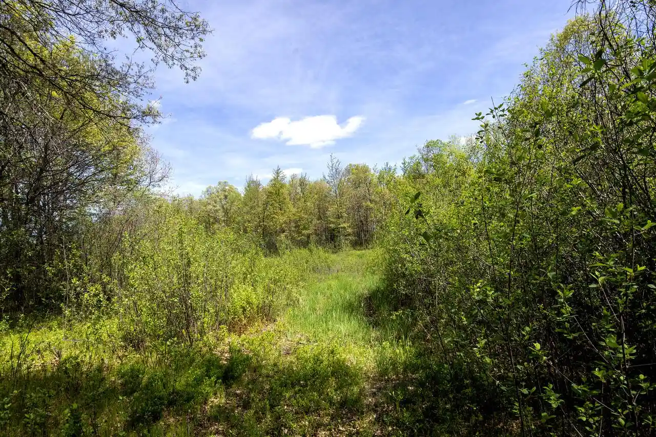 Homes for sale in Black River Falls, WI | N4896 State Hwy 27, Black River Falls, WI 54615 | MLS# 1963767