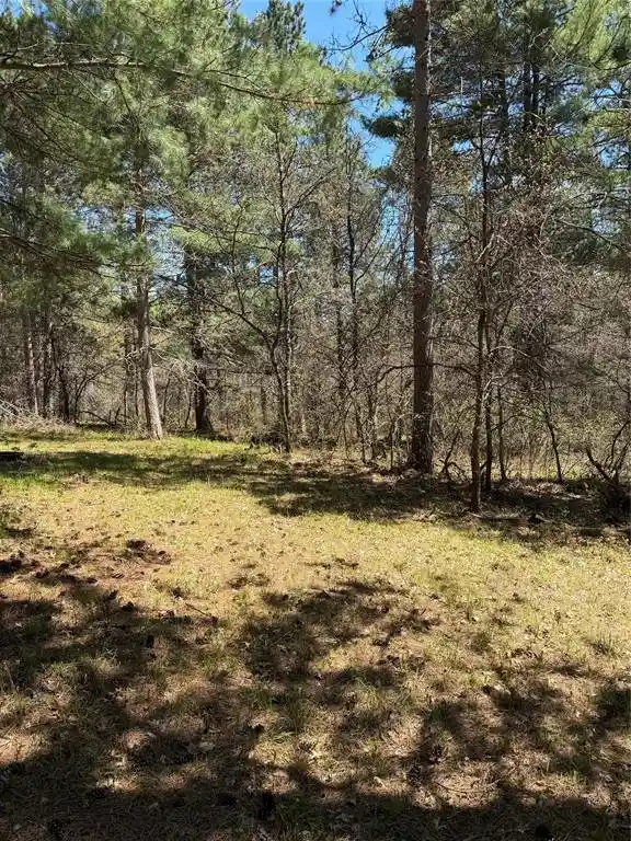 Homes for sale in Barnes, WI | 2395 Island Lake Road Road, Barnes, WI 54873 | MLS# 1601454