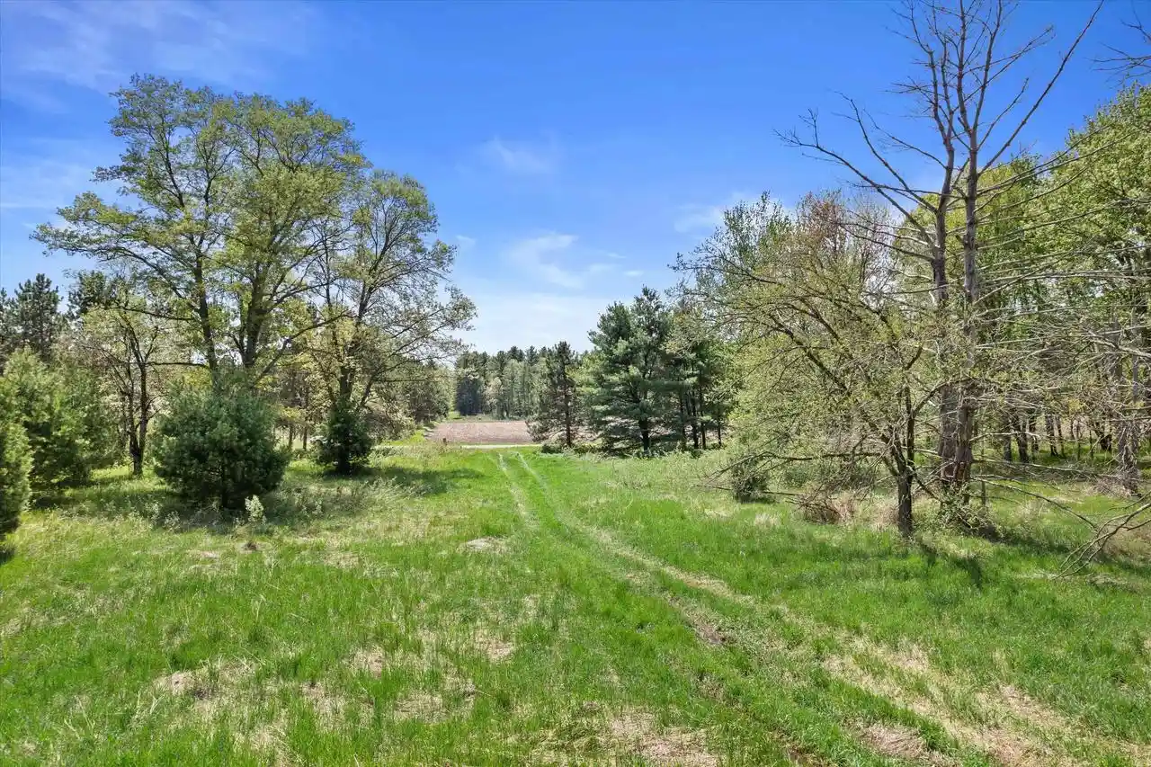 Homes for sale in Arkdale, WI | Lot 2 Chicago Avenue Avenue, Arkdale, WI 54613 | MLS# 2023992