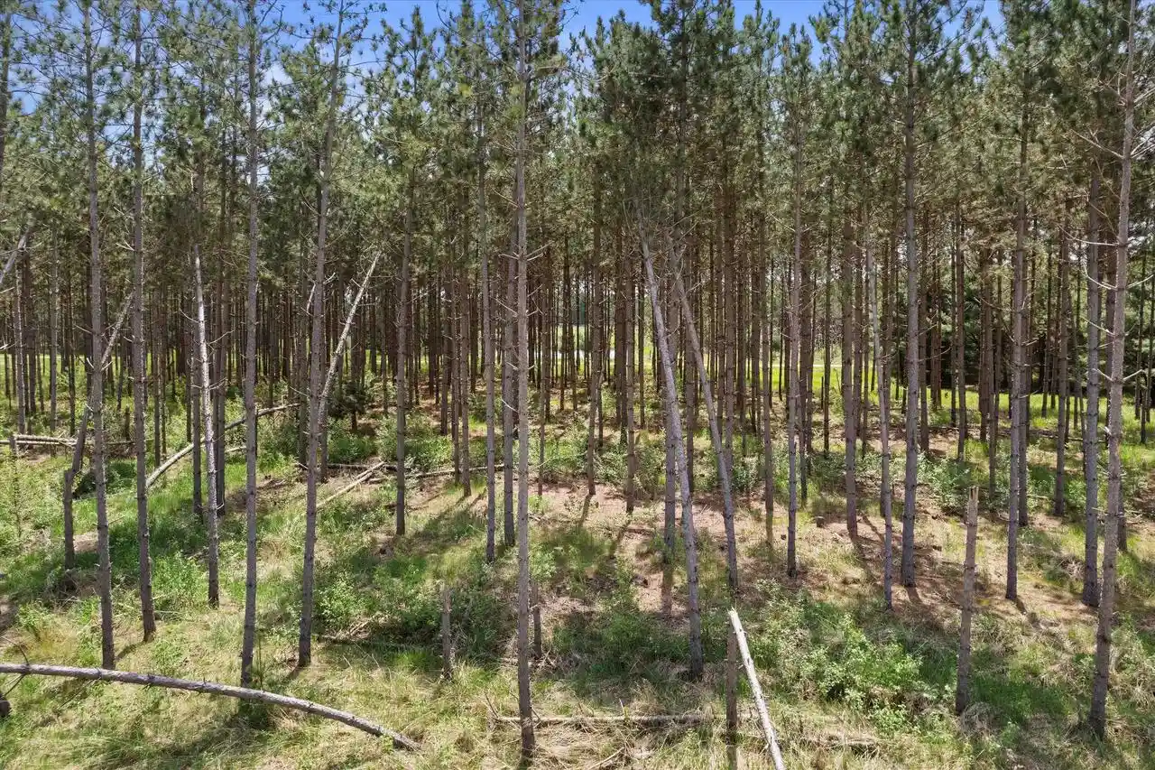 Homes for sale in Arkdale, WI | Lot 2 Chicago Avenue Avenue, Arkdale, WI 54613 | MLS# 2023992