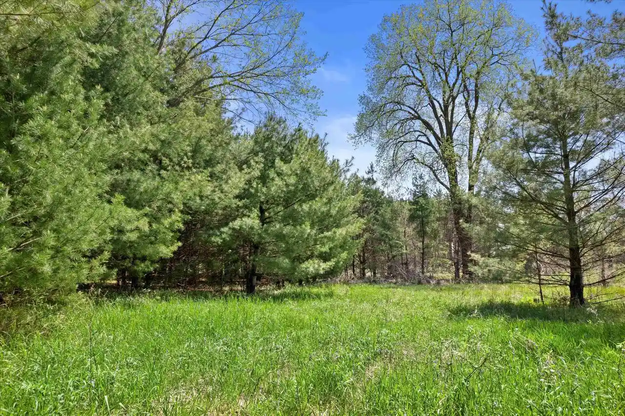 Homes for sale in Arkdale, WI | Lot 3 Chicago Avenue Avenue, Arkdale, WI 54613 | MLS# 2023997