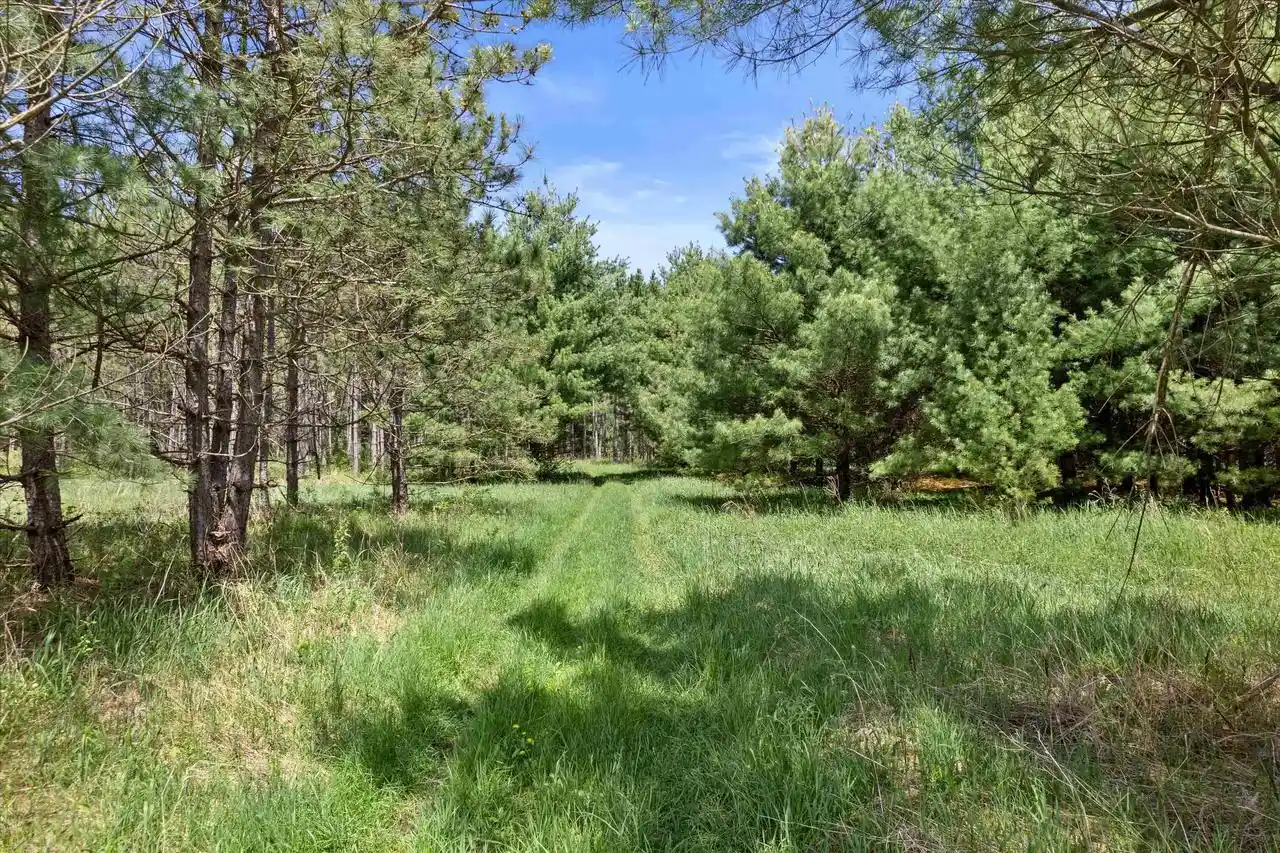 Homes for sale in Arkdale, WI | Lot 3 Chicago Avenue Avenue, Arkdale, WI 54613 | MLS# 2023997