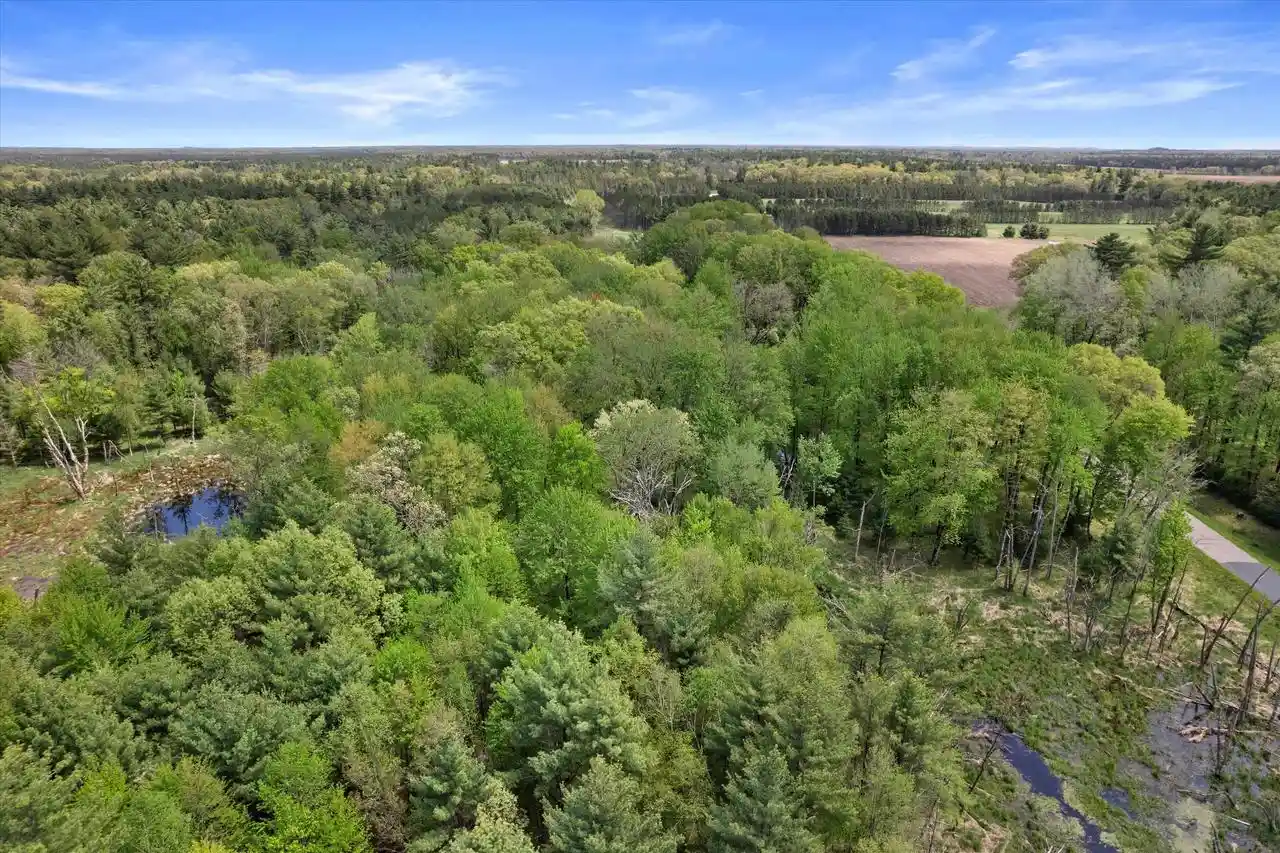 Homes for sale in Arkdale, WI | Lot 4 Chicago Avenue Avenue, Arkdale, WI 54613 | MLS# 2023998