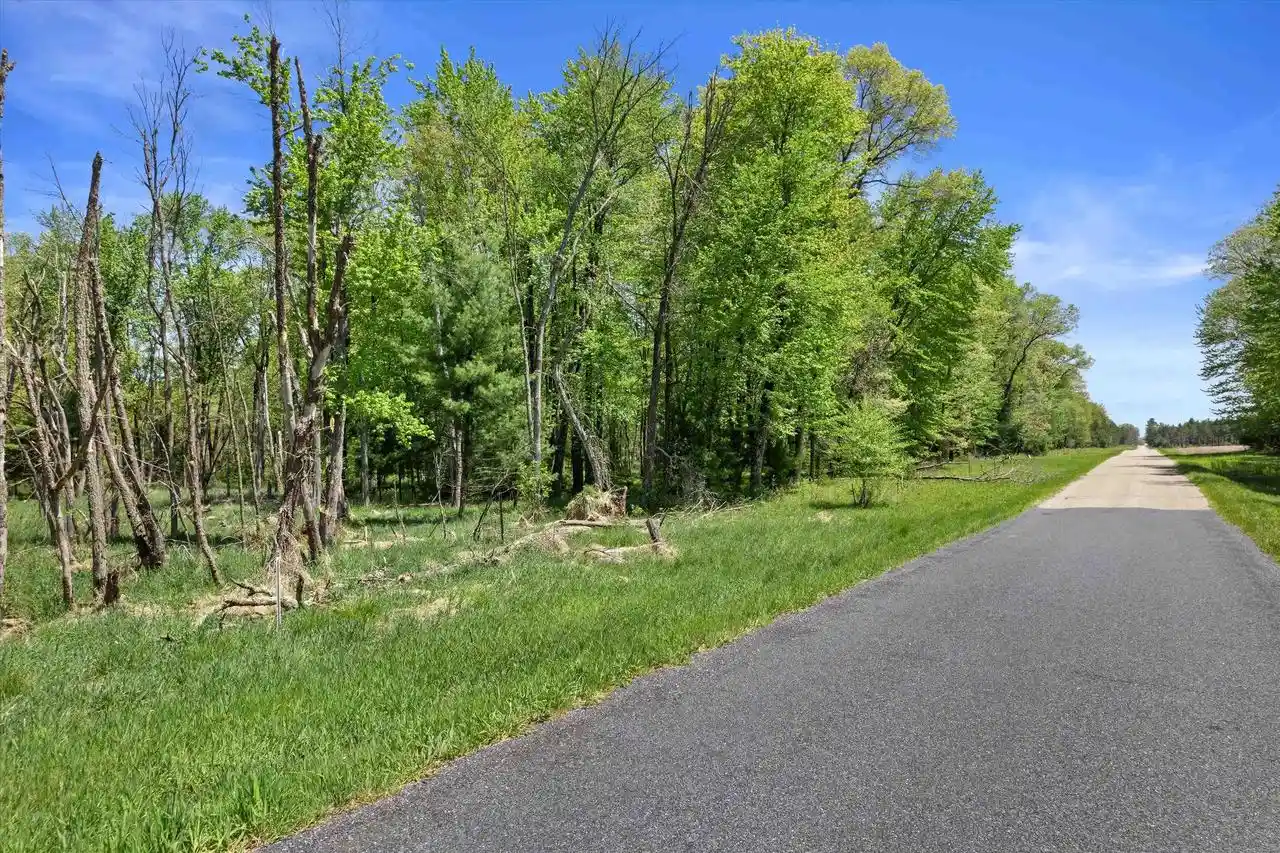 Homes for sale in Arkdale, WI | Lot 5 Chicago Avenue Avenue, Arkdale, WI 54613 | MLS# 2024001