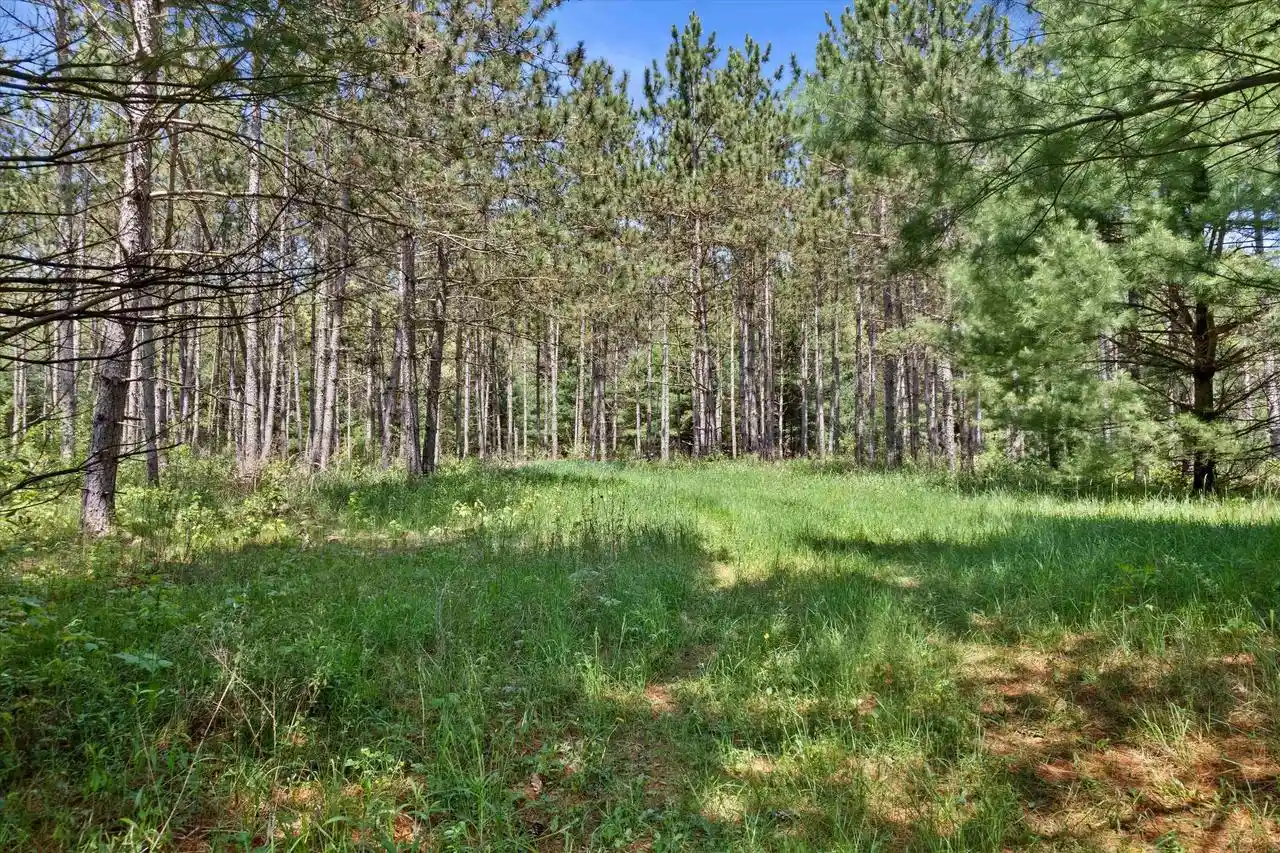 Homes for sale in Arkdale, WI | Lot 6 Chicago Avenue Avenue, Arkdale, WI 54613 | MLS# 2024004