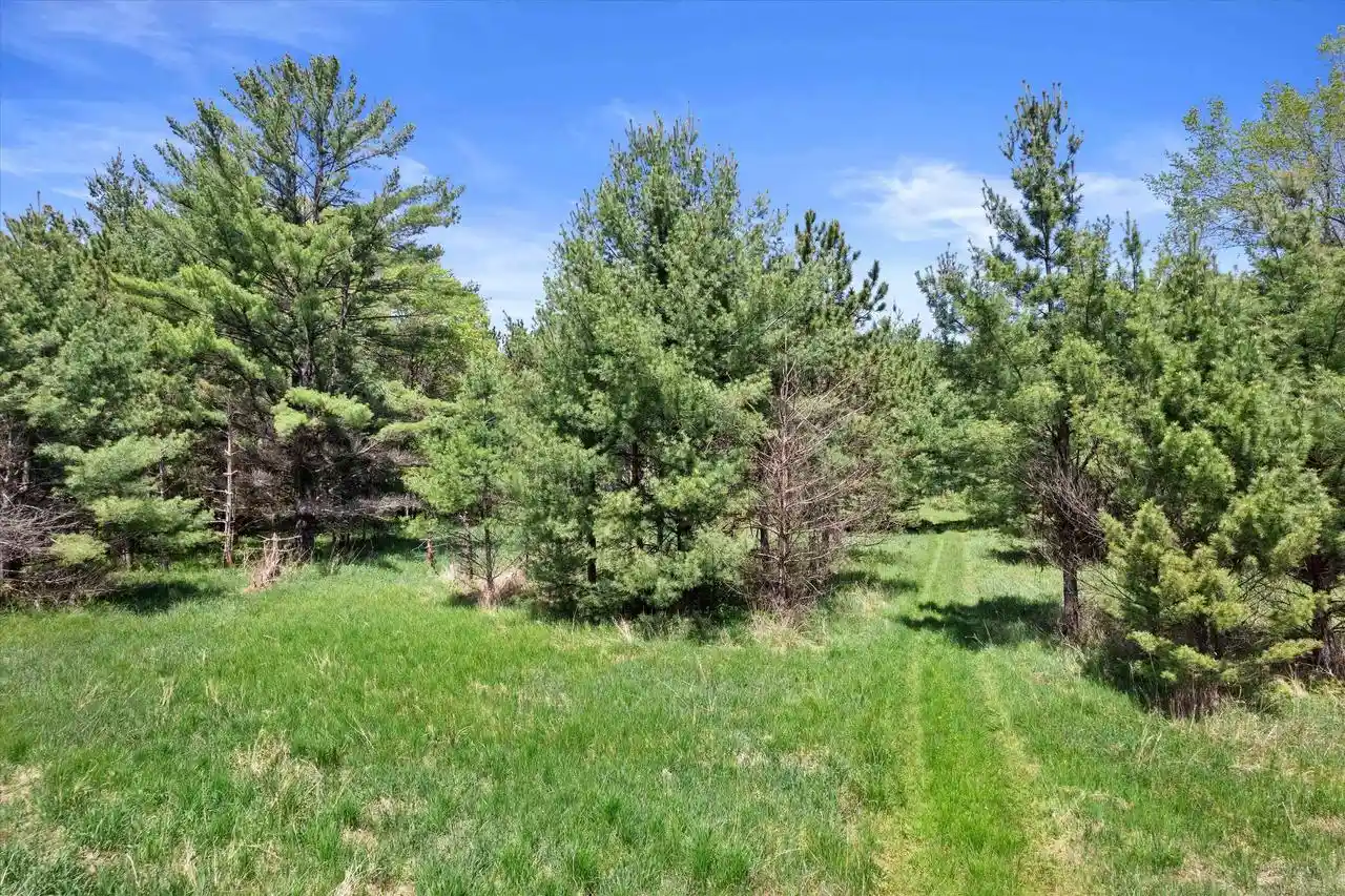 Homes for sale in Arkdale, WI | Lot 6 Chicago Avenue Avenue, Arkdale, WI 54613 | MLS# 2024004