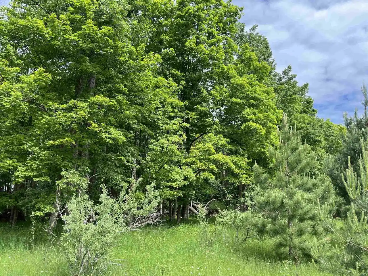 Homes for sale in Powers, MI | East Road Road, Powers, MI 49874 | MLS# 50326002