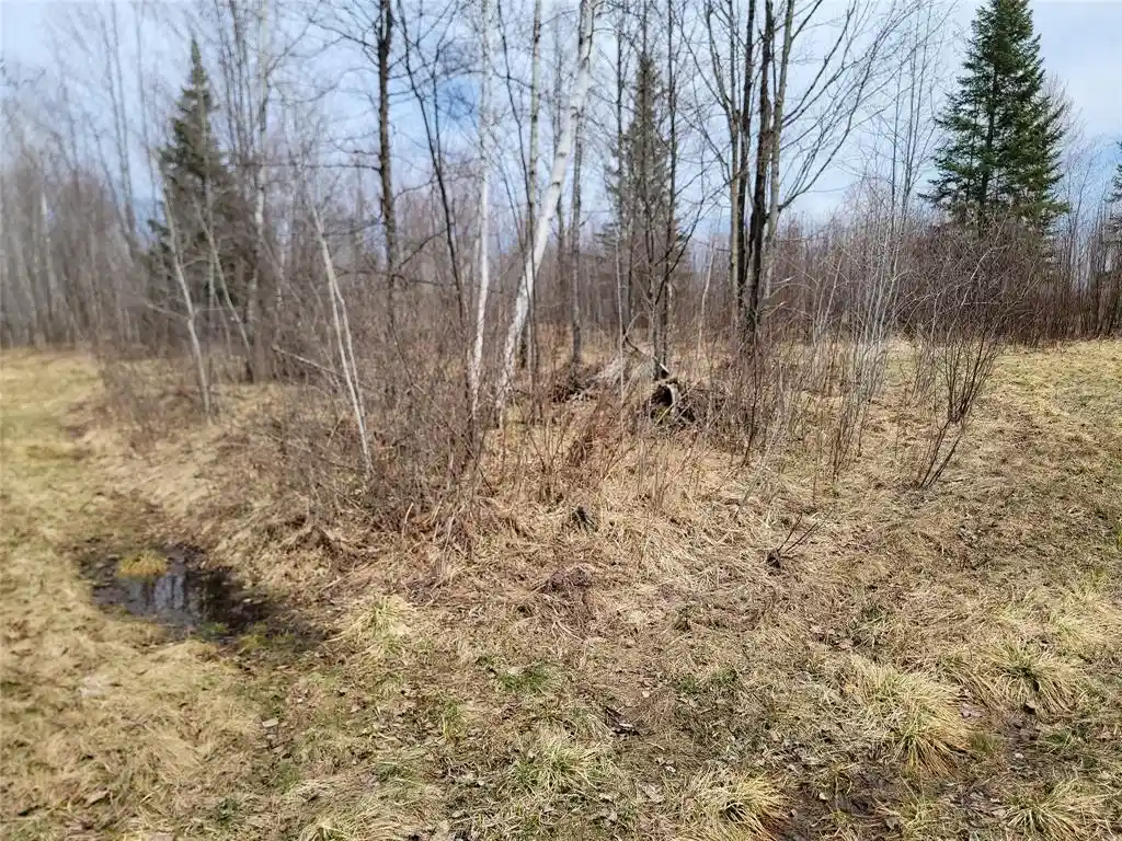 Homes for sale in Phillips, WI | On Elderwood Road Road, Phillips, WI 54555 | MLS# 1601469
