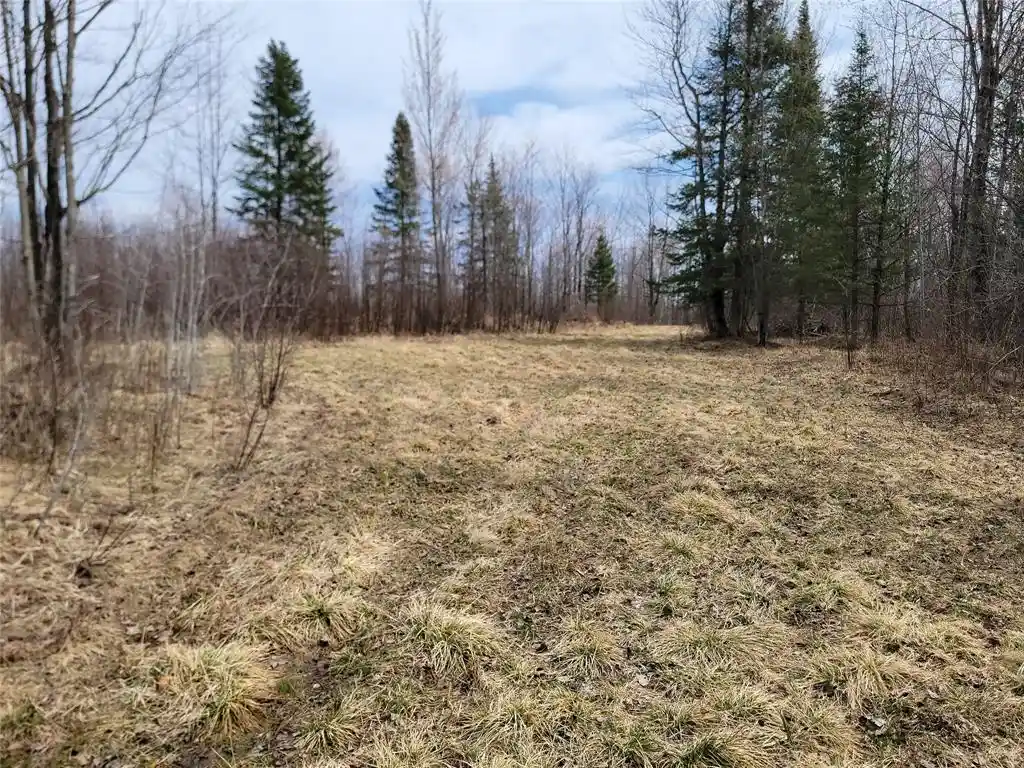 Homes for sale in Phillips, WI | On Elderwood Road Road, Phillips, WI 54555 | MLS# 1601469