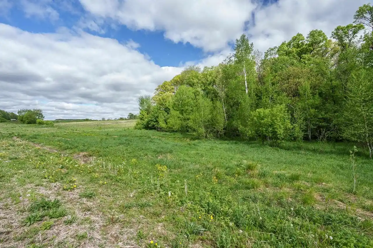 Homes for sale in Fairchild, WI | 0 Mcgower Road Road, Fairchild, WI 54741 | MLS# 22602264
