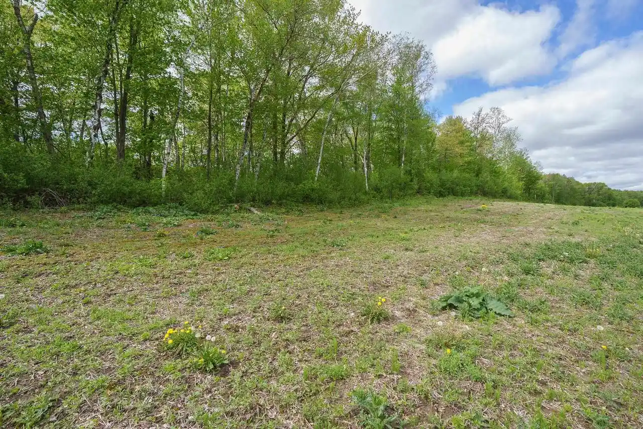 Homes for sale in Fairchild, WI | 0 Mcgower Road Road, Fairchild, WI 54741 | MLS# 22602264
