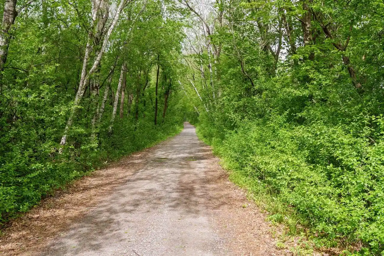 Homes for sale in Fairchild, WI | 0 Mcgower Road Road, Fairchild, WI 54741 | MLS# 22602264