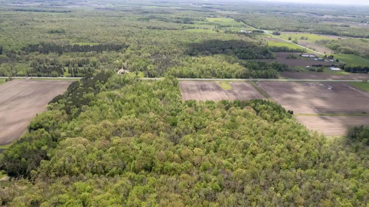 Homes for sale in Owen, WI | County Road A, Owen, WI 54460 | MLS# 22602267