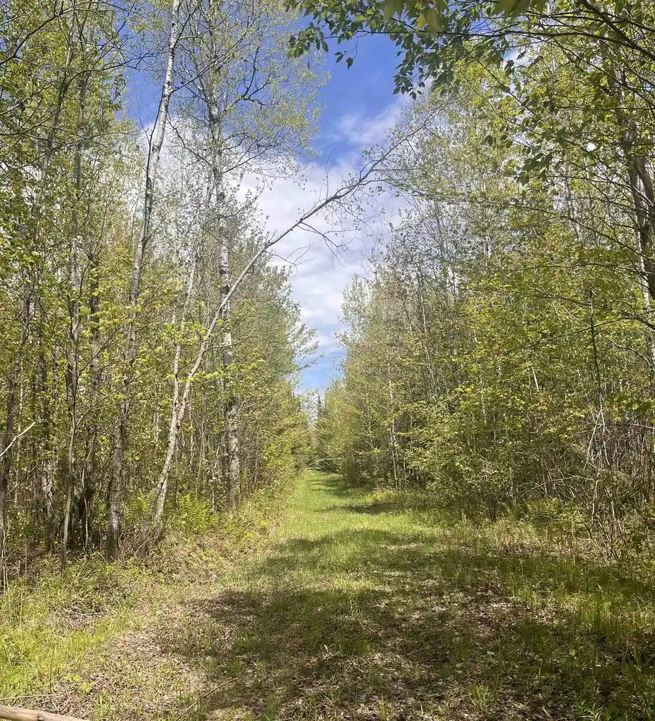 Homes for sale in Prentice, WI | 80 Acres Clausen Road Road, Prentice, WI 54556 | MLS# 22602269