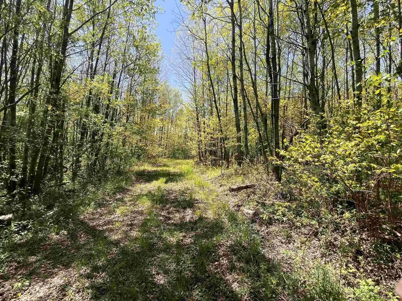 Homes for sale in Prentice, WI | 80 Acres Clausen Road Road, Prentice, WI 54556 | MLS# 22602269