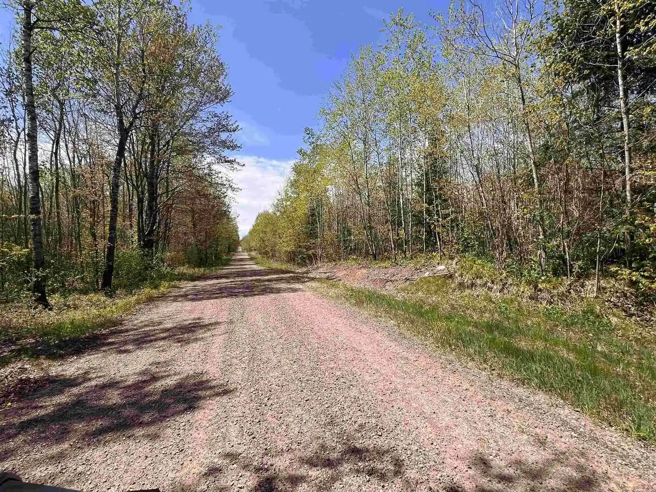 Homes for sale in Prentice, WI | 80 Acres Clausen Road Road, Prentice, WI 54556 | MLS# 22602269
