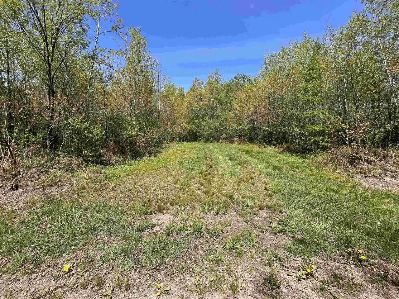 Homes for sale in Prentice, WI | 80 Acres Clausen Road Road, Prentice, WI 54556 | MLS# 22602269