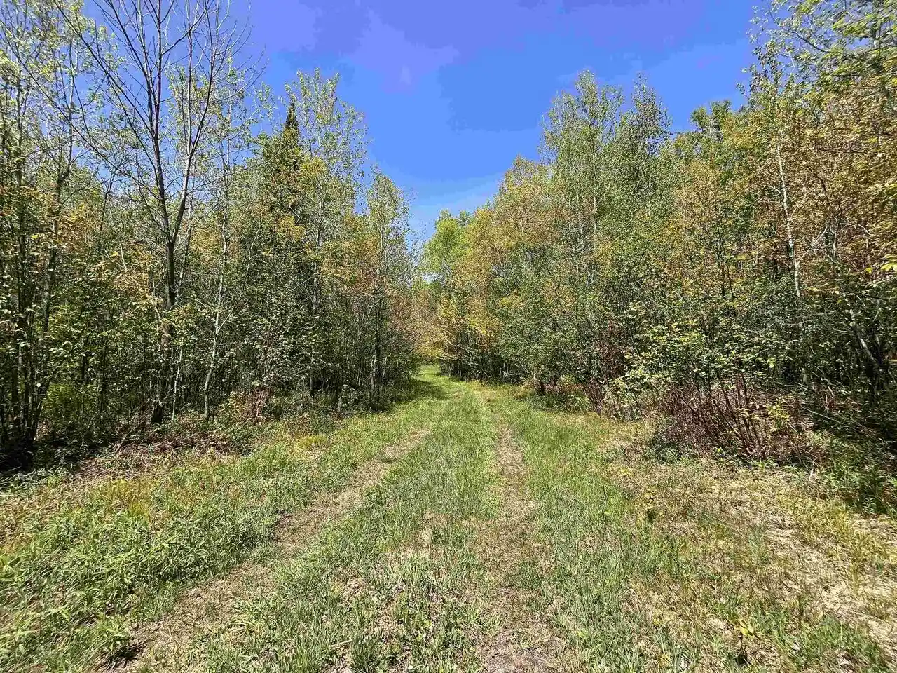 Homes for sale in Prentice, WI | 80 Acres Clausen Road Road, Prentice, WI 54556 | MLS# 22602269
