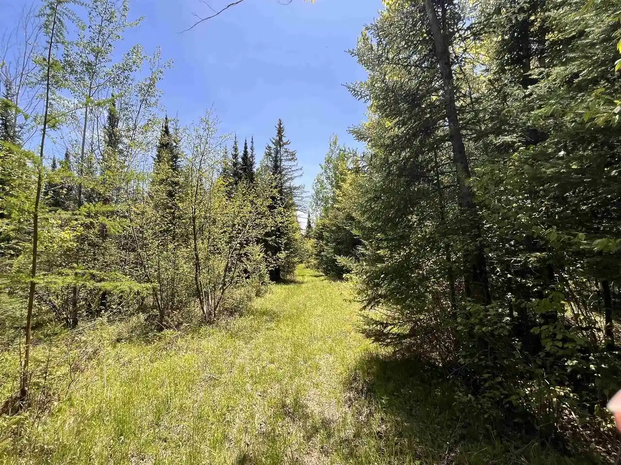 Homes for sale in Prentice, WI | 80 Acres Clausen Road Road, Prentice, WI 54556 | MLS# 22602269