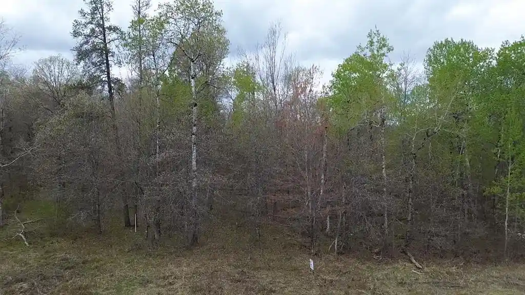 Homes for sale in Solon Springs, WI | N/A State Hwy 27, Solon Springs, WI 54873 | MLS# 1601376