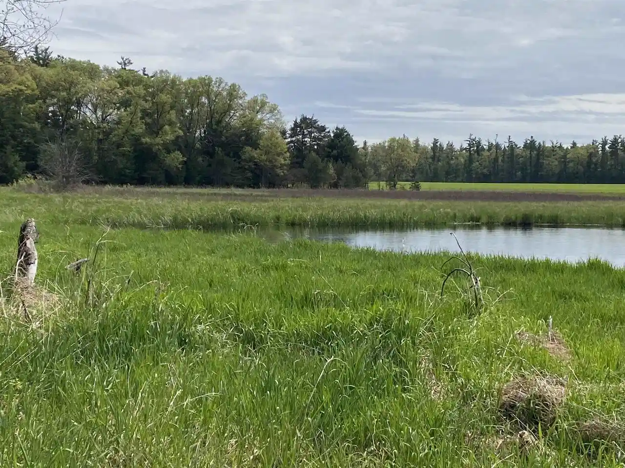 Homes for sale in Wautoma, WI | W8949 Hwy 21 Road Road, Wautoma, WI 54982 | MLS# 2024109