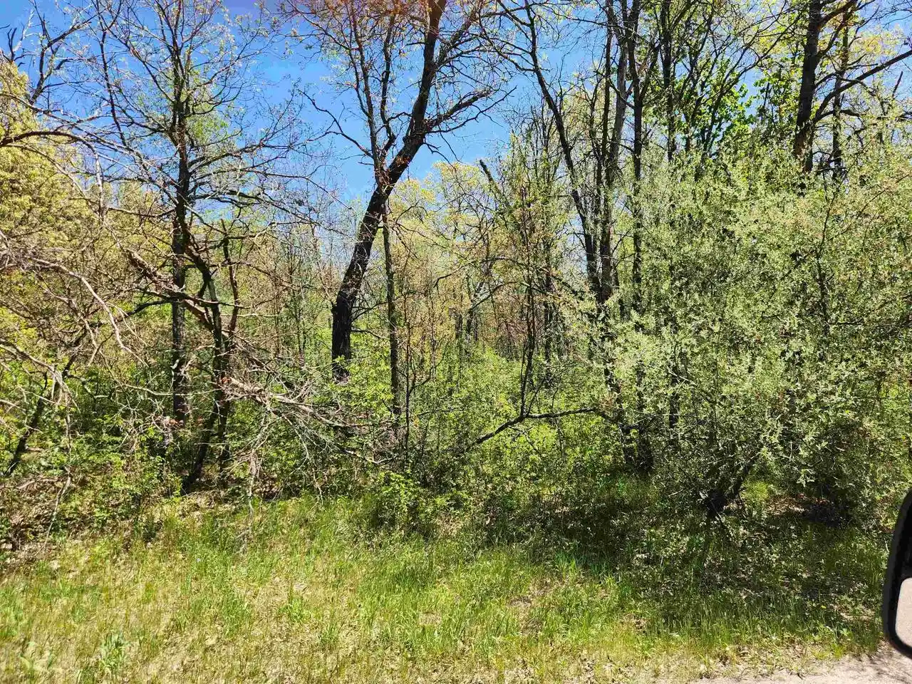 Homes for sale in Grand Marsh, WI | 2914 Oak Avenue Avenue, Grand Marsh, WI 53936 | MLS# 22602281