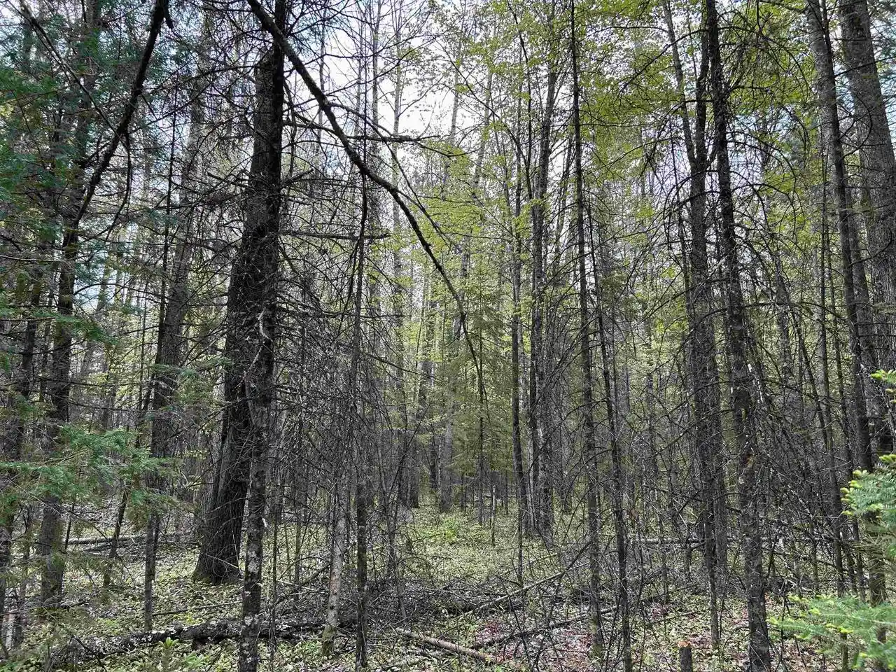 Photo 3 of Land for sale at Cth W, White Lake, WI 54491 | MLS# 50326054 | Listing updated on 2026-09-04