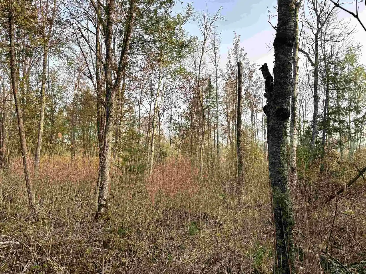 2nd image of State Hwy M 35, Menominee, MI 49858 | MLS# 50326061