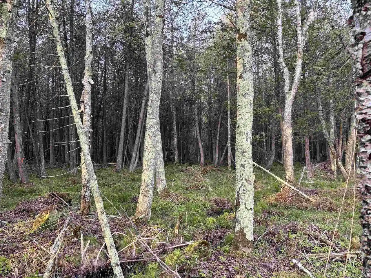3rd image of State Hwy M-35, Menominee, MI 49858 | MLS# 50326061