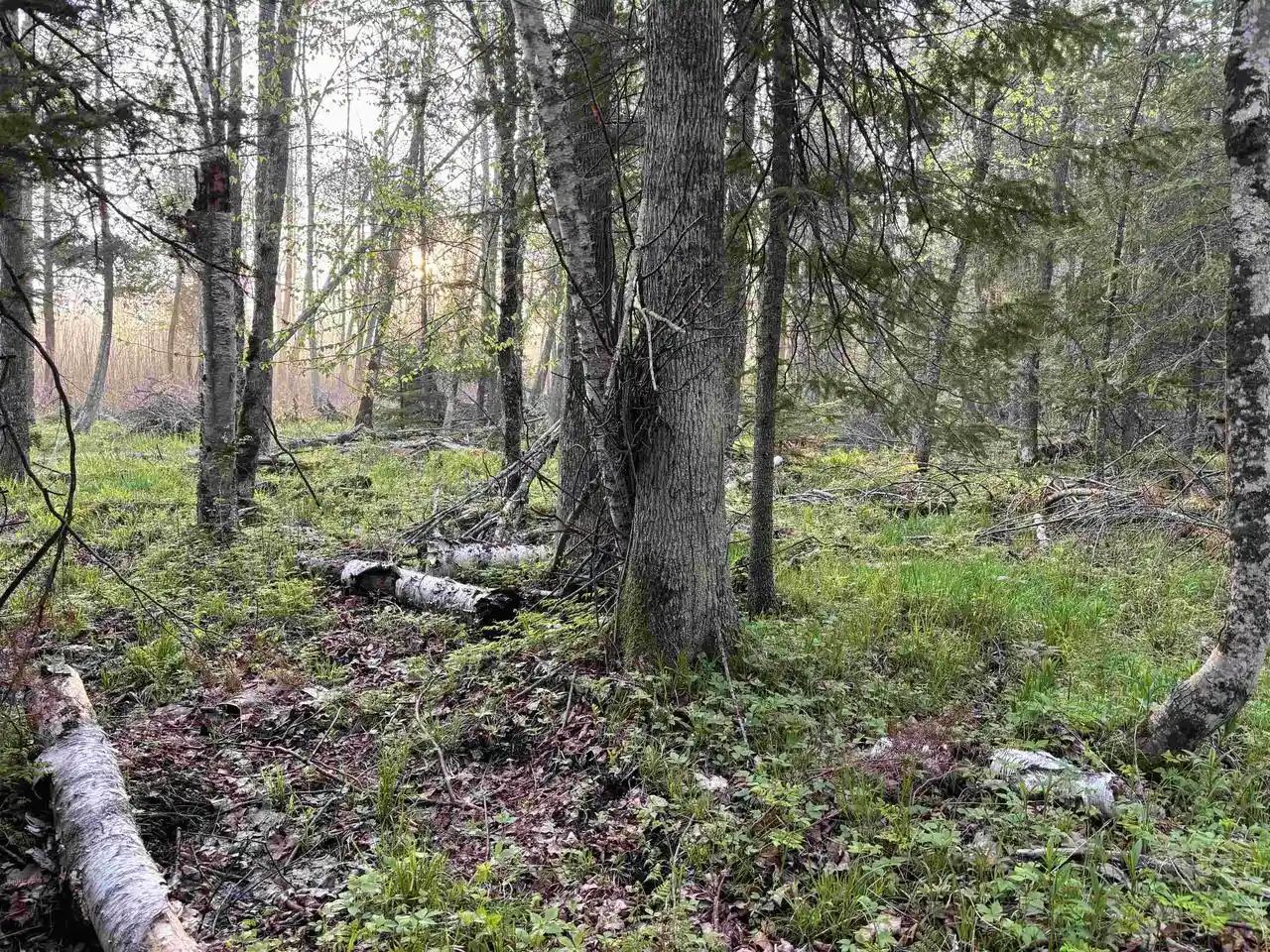 4th image of State Hwy M-35, Menominee, MI 49858 | MLS# 50326061