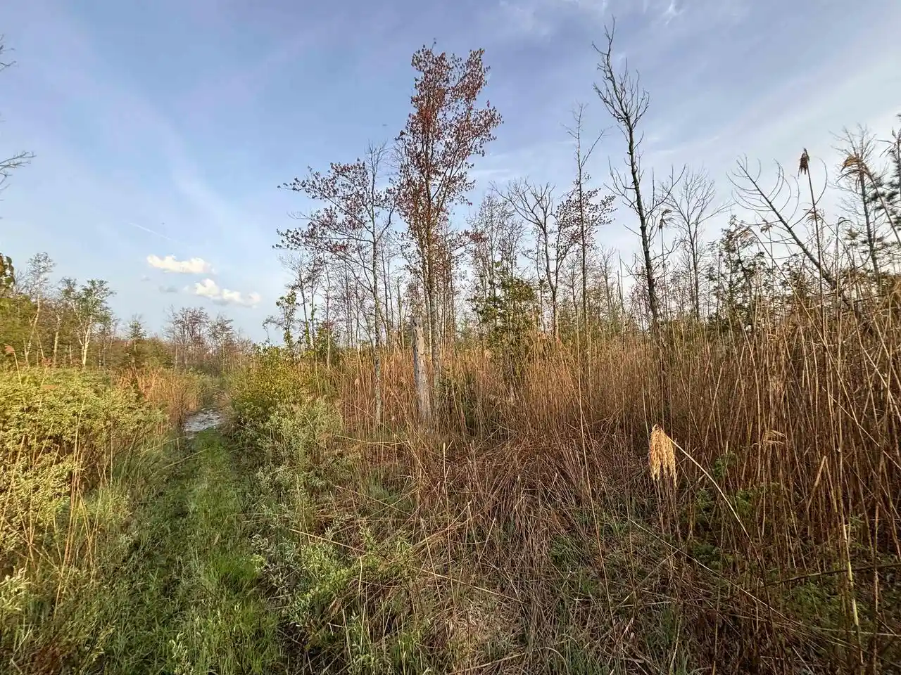 24th image of State Hwy M 35, Menominee, MI 49858 | MLS# 50326061