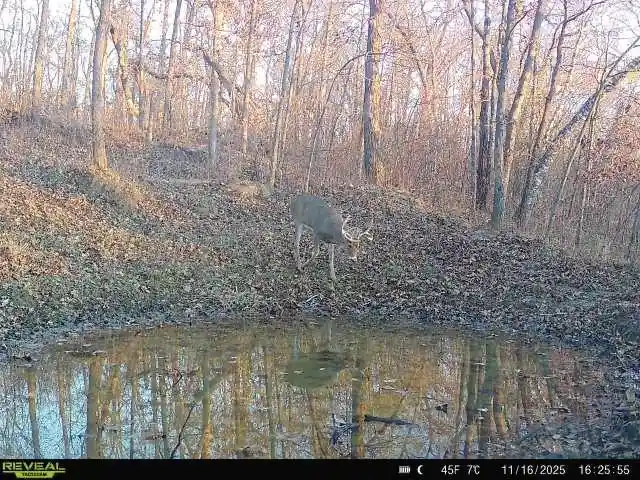 Photo 2 of Land for sale at Xx Simons Rd Road Road, Mondovi, WI 54755 | MLS# 1600852 | Listing updated on 2026-07-14