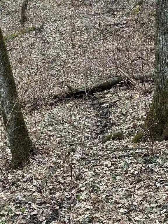 Photo 3 of Land for sale at Xx Simons Rd Road Road, Mondovi, WI 54755 | MLS# 1600852 | Listing updated on 2026-07-14