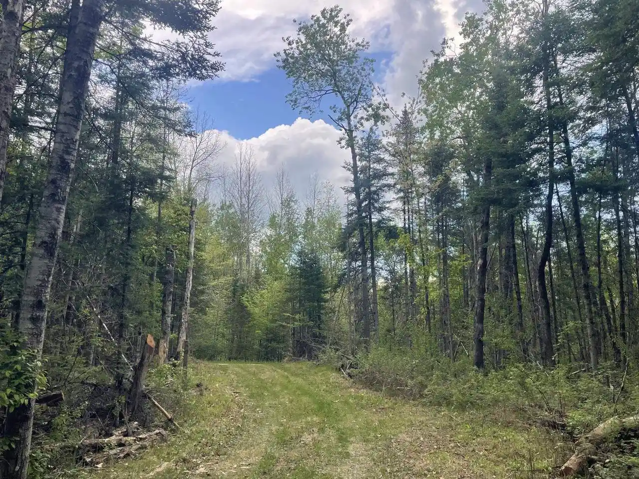 3rd image of 18912 Rocky Lane Lane, Townsend, WI 54175 | MLS# 50326176