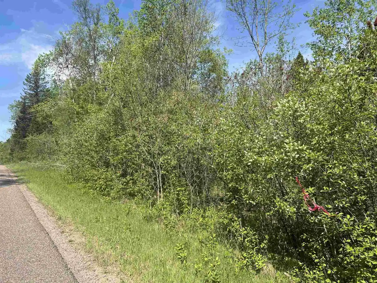 3rd image of Forest Hill Dr Dr, Townsend, WI 54175 | MLS# 50326208