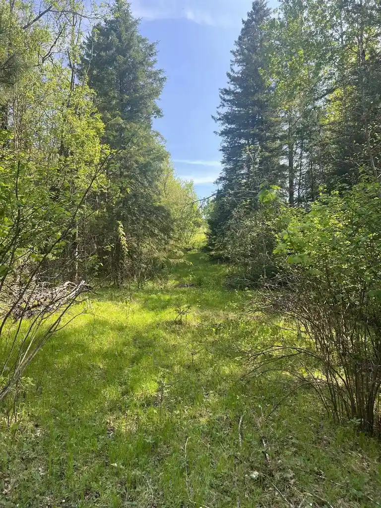 4th image of Forest Hill Dr Dr, Townsend, WI 54175 | MLS# 50326208