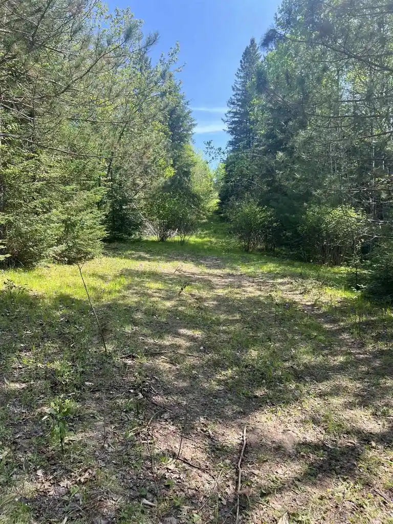 5th image of Forest Hill Dr Dr, Townsend, WI 54175 | MLS# 50326208