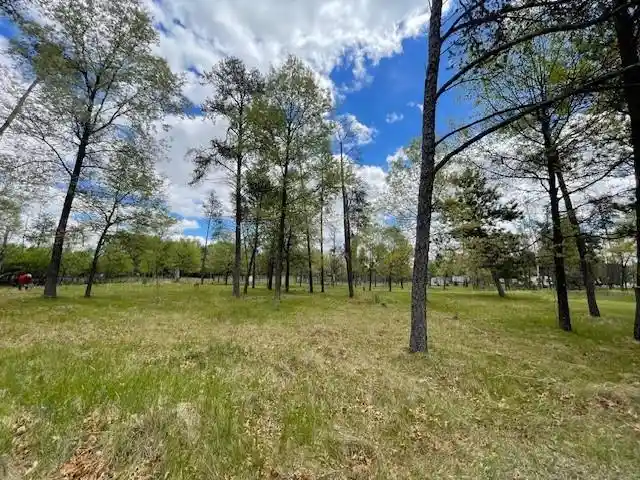 Homes for sale in Nekoosa, WI | 312 York Court Court, Nekoosa, WI 54457 | MLS# 2024314