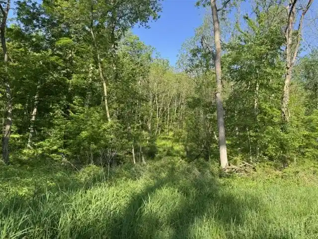 Homes for sale in Blue River, WI | 000 Byrd's Creek Rd Road Road, Blue River, WI 53518 | MLS# 2024353