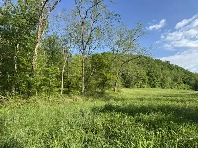Homes for sale in Blue River, WI | 000 Byrd'S Creek Rd Road Road, Blue River, WI 53518 | MLS# 2024353