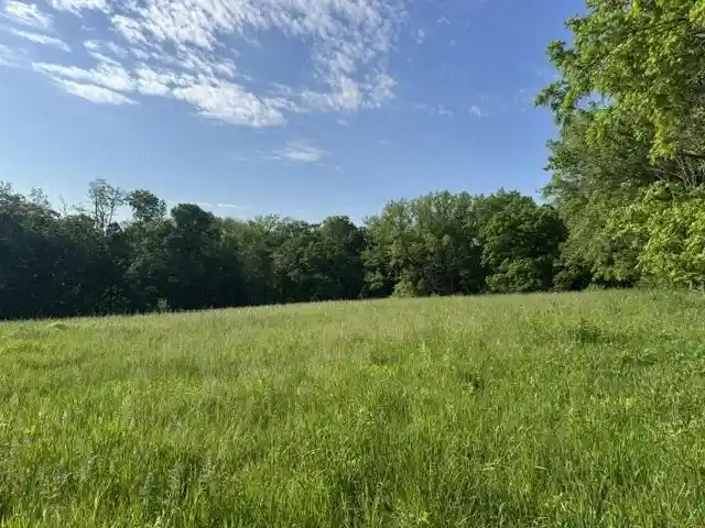 Homes for sale in Blue River, WI | 000 Byrd'S Creek Rd Road Road, Blue River, WI 53518 | MLS# 2024353