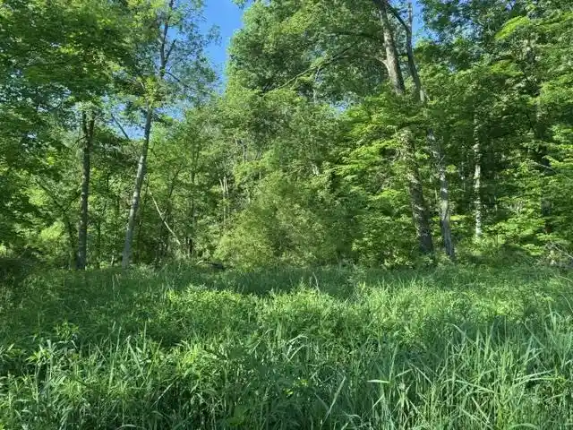 Homes for sale in Blue River, WI | 000 Byrd's Creek Rd Road Road, Blue River, WI 53518 | MLS# 2024353