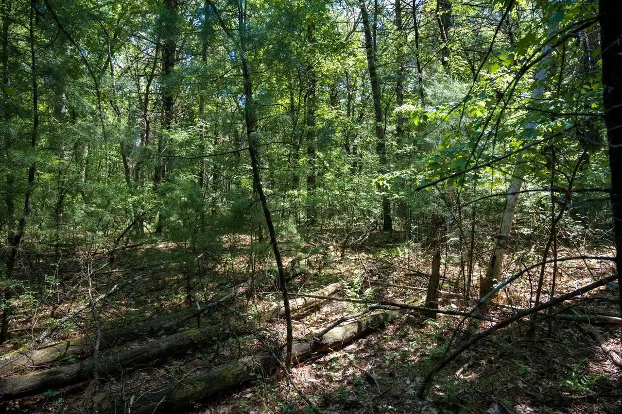 Homes for sale in Arkdale, WI | Lot 132 19th Pass Pass, Arkdale, WI 54613 | MLS# 2024371